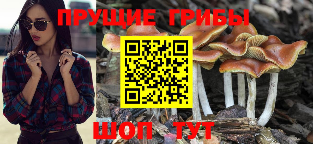 Находка  Псилоцибиновые грибы MAGIC MUSHROOMS  Вход с VPN 
