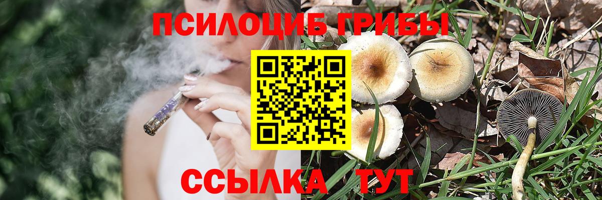 Псилоцибиновые грибы GOLDEN TEACHER Находка